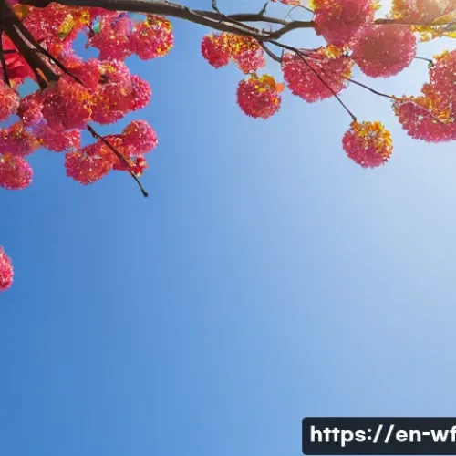 Home 29 지역생산의 협동조합 성공 사례 관련 이미지 1