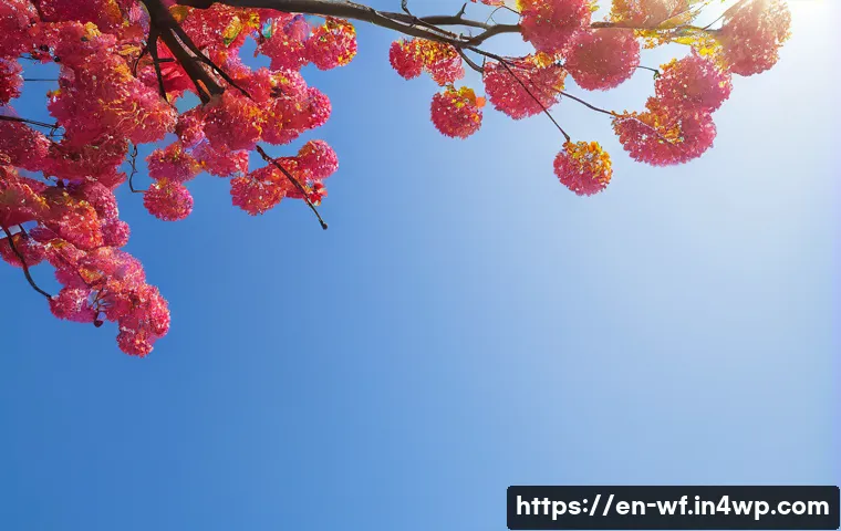 지역생산의 협동조합 성공 사례 관련 이미지 1